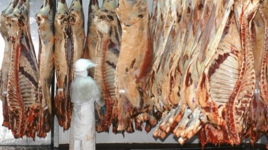 Las exportaciones de carne vacuna crecieron un 25,1% interanual en el primer trimestre del año