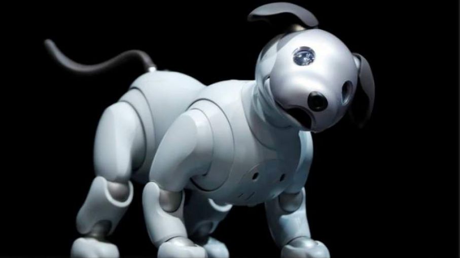 Sony crea un programa para adoptar perros robots Aibo y