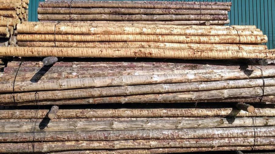 Cargan 33.000 toneladas de madera de pino en Entre Ríos con destino a China