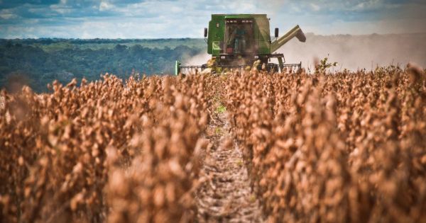 Soybeans rose again and surpassed US $ 574 in Chicago