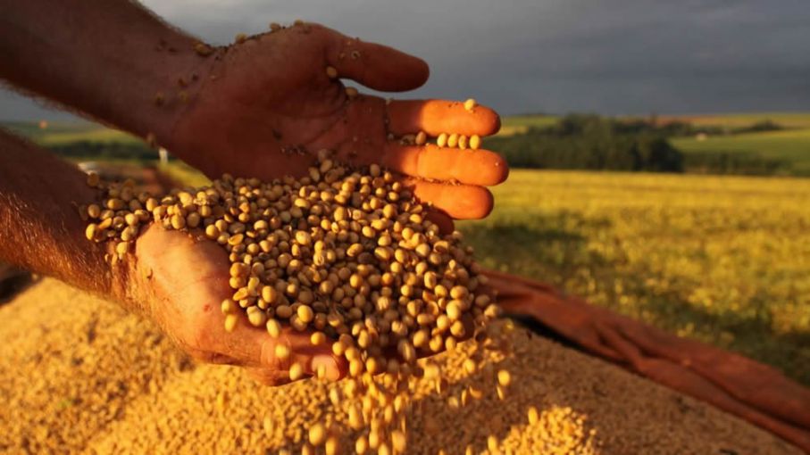 Bajas para la soja en Rosario y en Chicago - Agrolatam