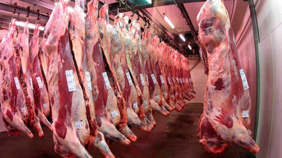 Se abre un nuevo mercado: Argentina exportará carne bovina a México