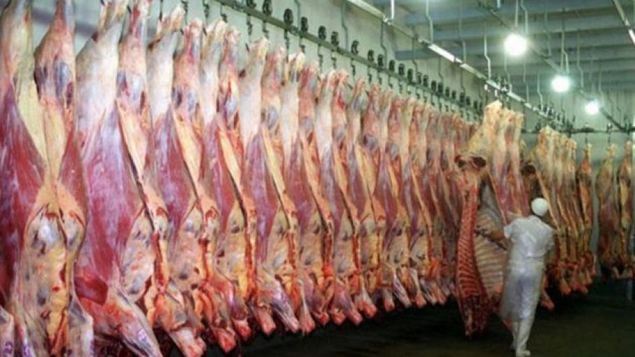 Actualizan valores de referencia para exportación de carne bovina