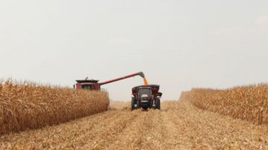 Arranca la cosecha y falta gasoil: el agro cordobés demandará 10% más del combustible