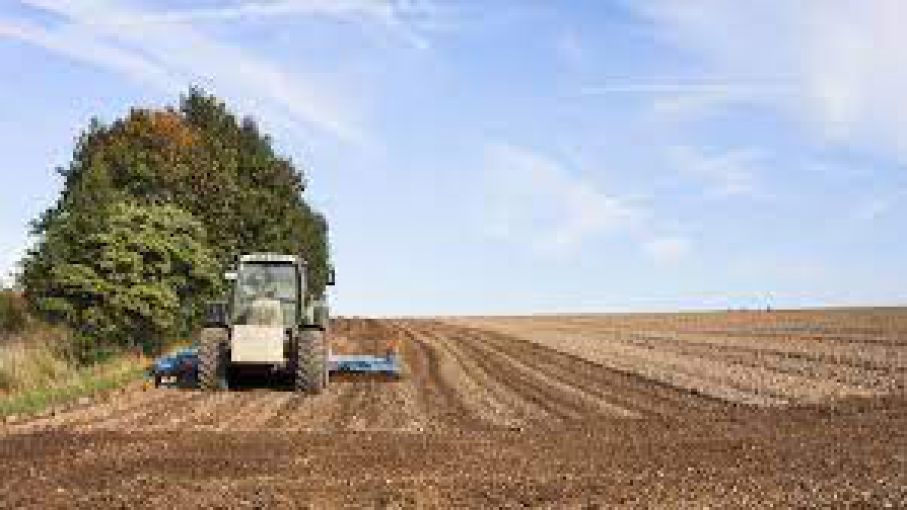 Alertan que faltan fungicidas para el campo por las restricciones para importar