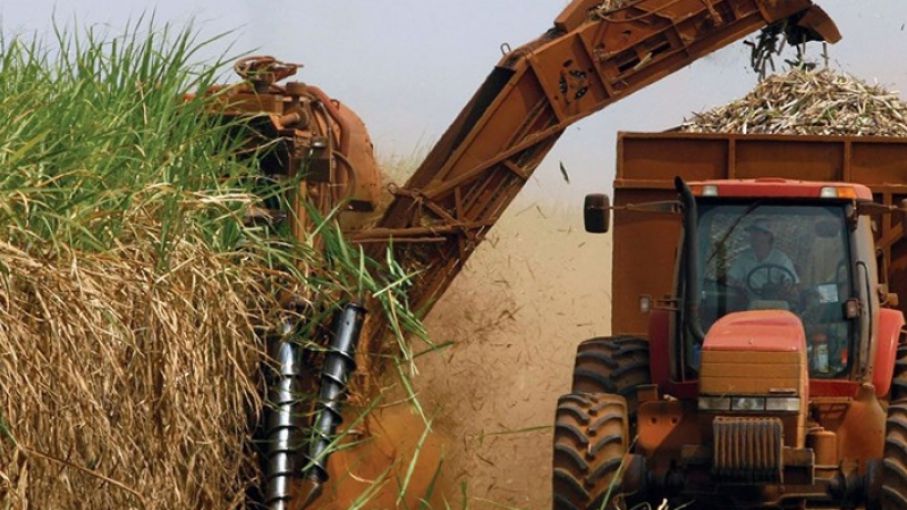 La zafra 2021 arrojó producción de más de 1,3 millón de toneladas de azúcar