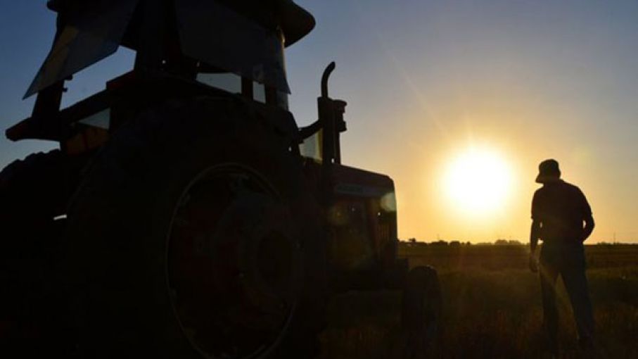 Cultivos en alerta: el arranque de 2022 será a todo calor y se espera un clima intenso