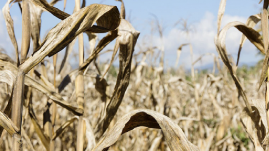 La Niña seguirá presente por lo menos hasta marzo