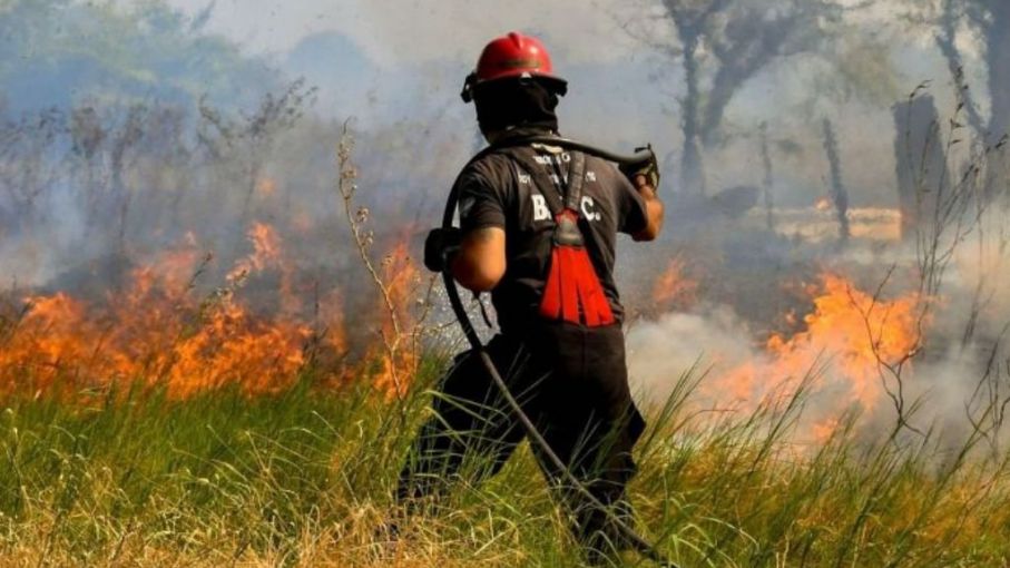 Corrientes declaró el estado de desastre agropecuario por incendios rurales