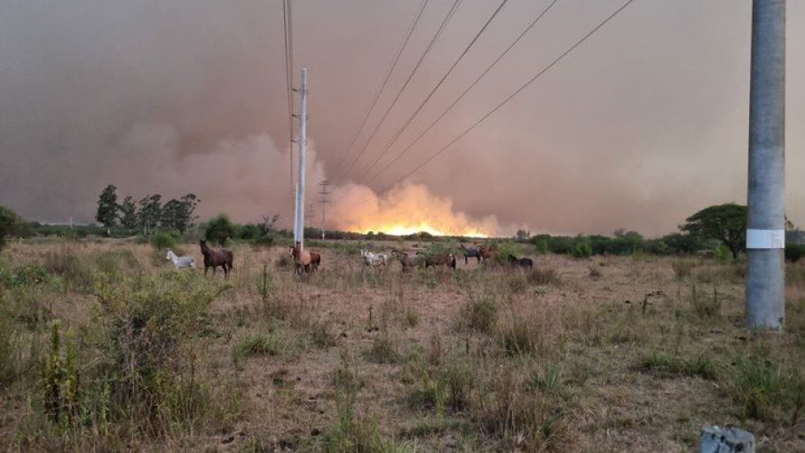 Incendios: Que el humo no cubra la racionalidad