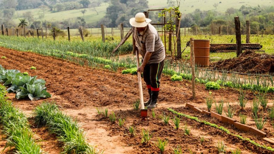 Santa Fe prorrogó la ley que evita desalojos a pequeños productores campesinos e indígenas