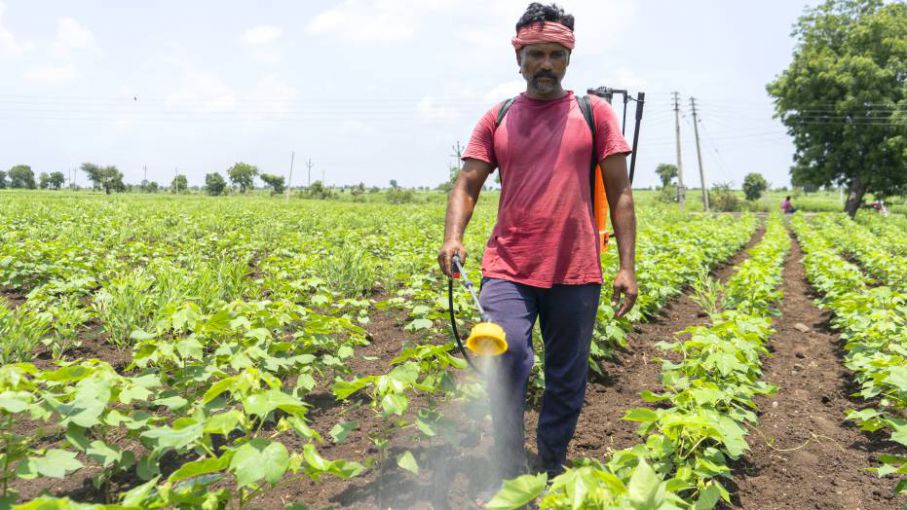 El alto precio de los fertilizantes impactará el rendimiento de las cosechas en el 2023, advierte la FAO