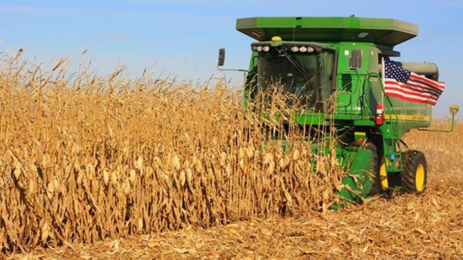 Futuros del maíz caen por las escasas ventas de exportación de EEUU