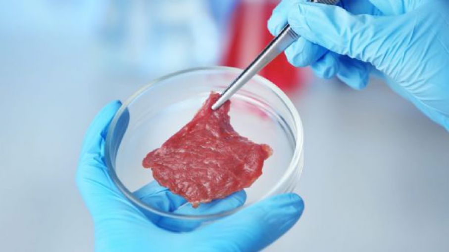 La carne cultivada en laboratorio ha sido aprobada para la venta en Estados Unidos: ¿comeremos esta carne en el futuro?