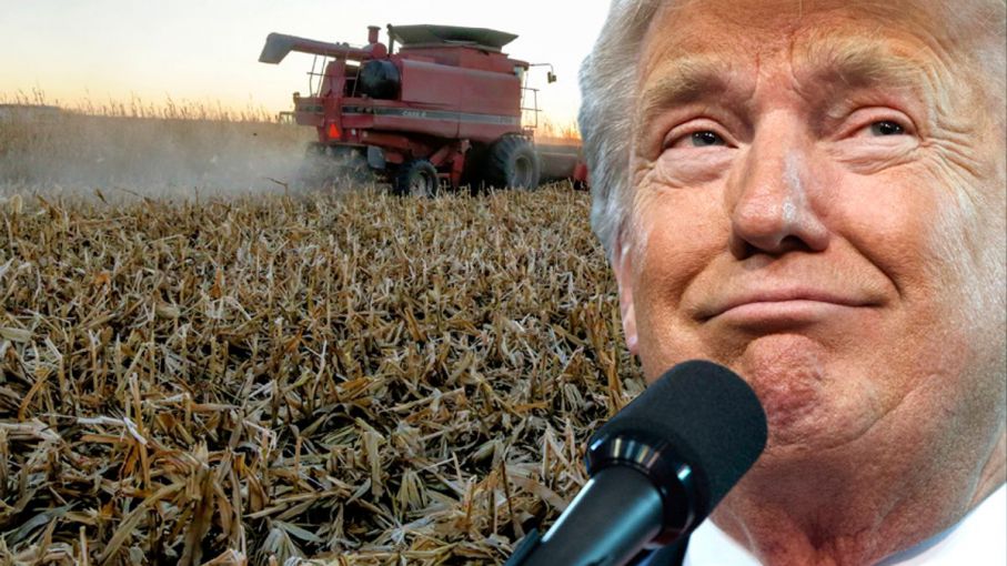 Agricultores de Iowa respaldan a Trump a pesar de preocupaciones por guerras comerciales - Agrolatam