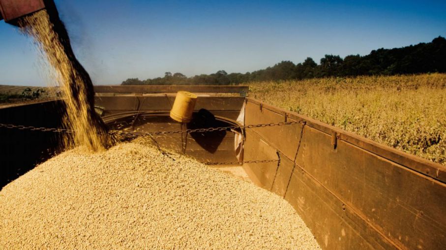 Pese al mal tiempo, se cosecharon 500.000 ha de soja de 1ra esta semana