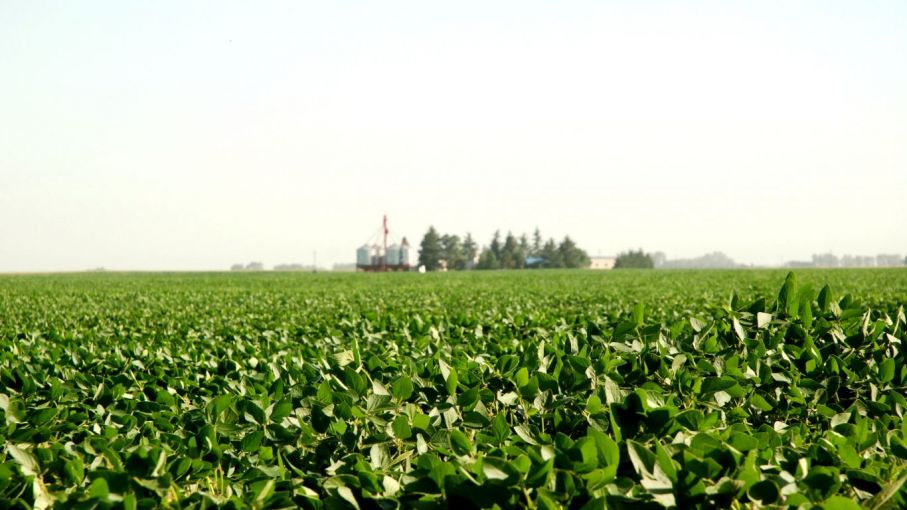 Entidades de Argentina y Paraguay firman acuerdo para promover la comercialización de soja libre de deforestación 