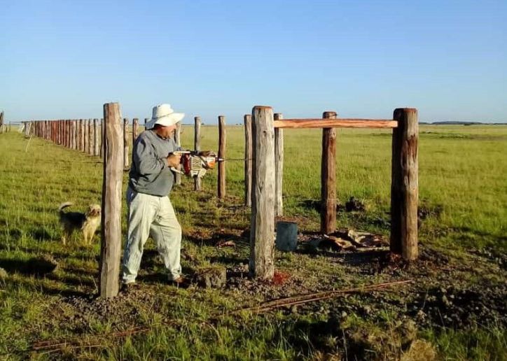 ¿Cuánto cuesta alambrar el campo? Descubri el impacto en el bolsillo del productor