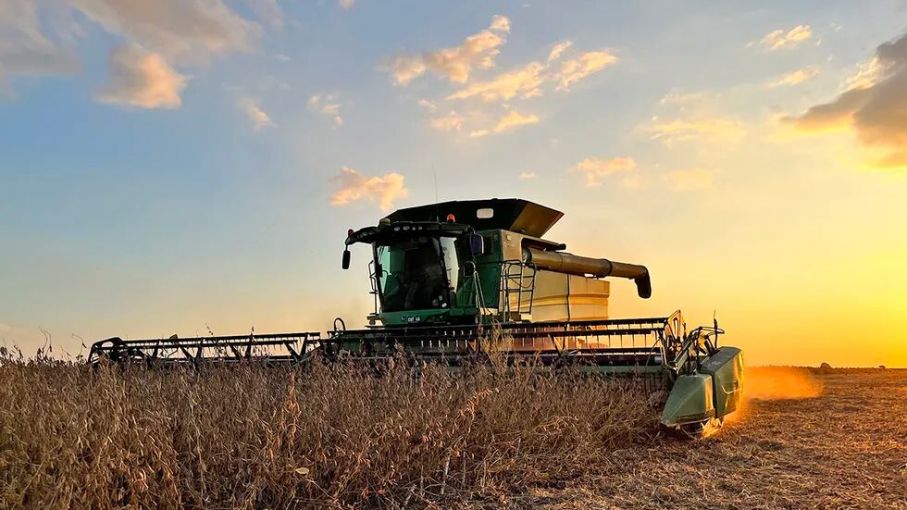 Buenas perspectivas climáticas para la cosecha