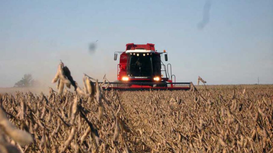 Potencial reactivación de créditos bancarios beneficiaría principalmente al sector agropecuario