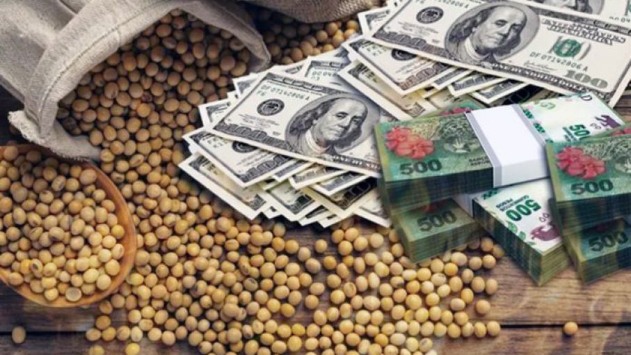 Ante la poca liquidación del agro, especulan con que el Gobierno busque incentivar ventas con una ampliación del dólar 80/20