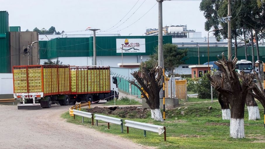 Crisis en Granja Tres Arroyos: despidos y tensión sindical en Entre Ríos